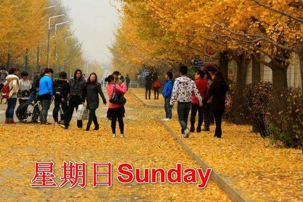 为什么星期日不叫星期七？？？