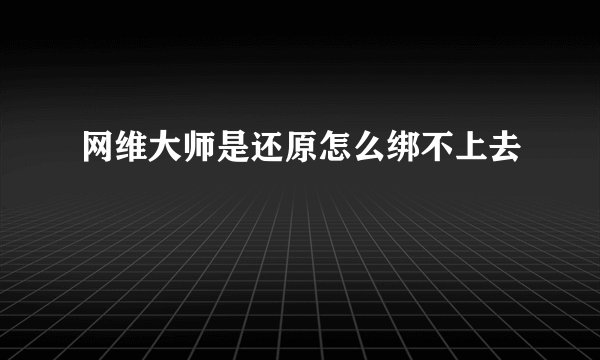网维大师是还原怎么绑不上去