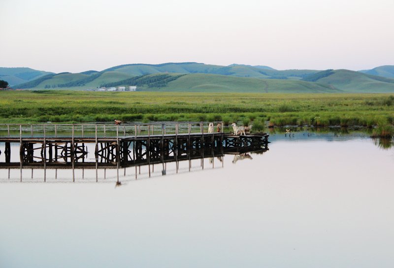 《静的艾敏河》到底想告诉我们什么呢