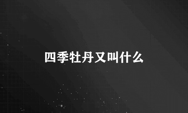 四季牡丹又叫什么