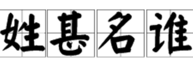 姓甚名谁