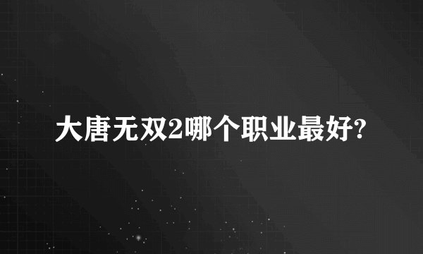 大唐无双2哪个职业最好?