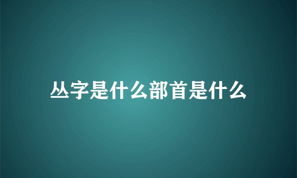 丛字是什么部首是什么