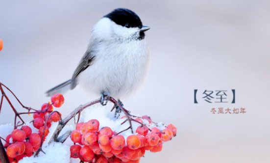 冬至是什么节日