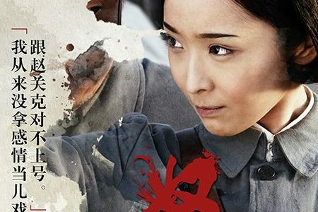 怒放电视剧剧情介绍