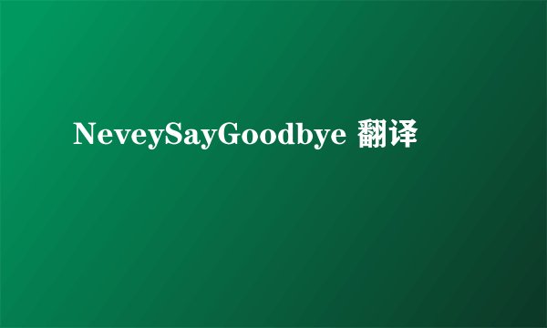 NeveySayGoodbye 翻译