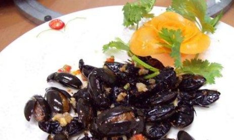 水蟑螂广东叫什么？