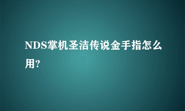 NDS掌机圣洁传说金手指怎么用?