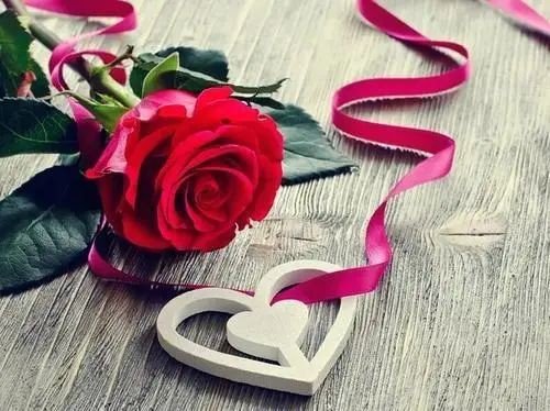 数字1773。在爱情中代表什么爱语？