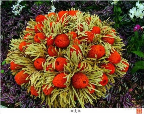 女生说你别骗我怎么回复？