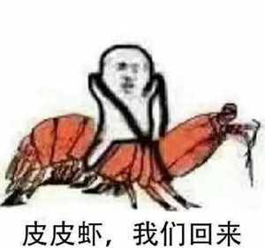 皮皮虾是什么梗Σ°Д°