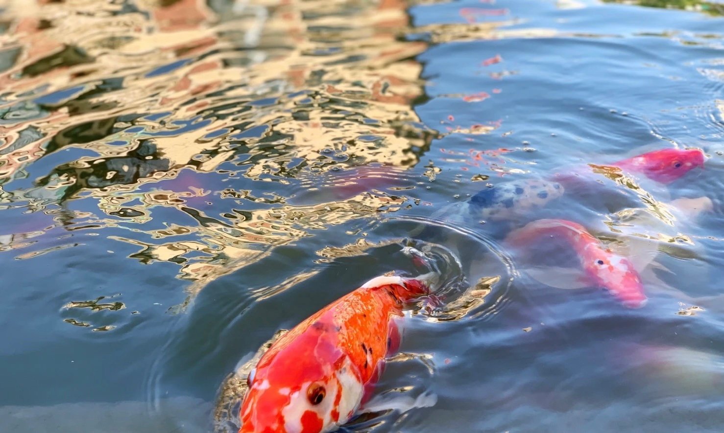 下雨前有哪些预兆?
