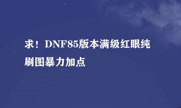 求！DNF85版本满级红眼纯刷图暴力加点