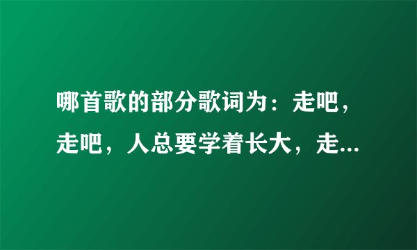 哪首歌的部分歌词为：走吧，走吧，人总要学着长大，走吧，走吧，人生难免经历苦痛挣扎？
