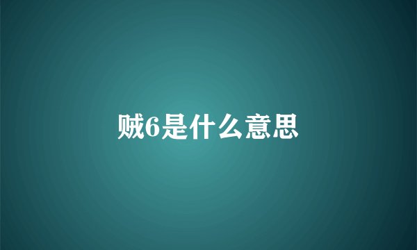 贼6是什么意思
