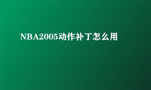 NBA2005动作补丁怎么用