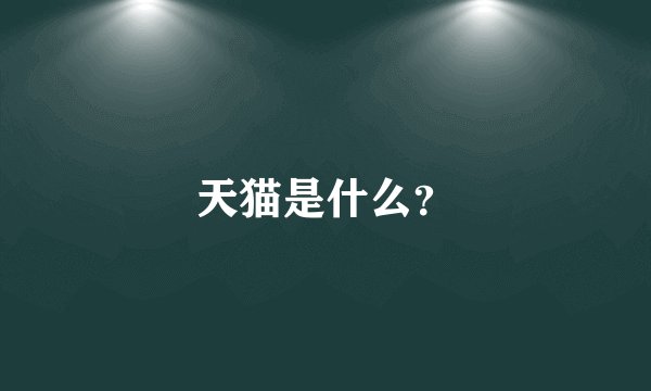 天猫是什么？