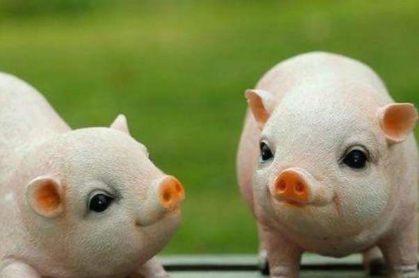 二七四一再合五,红袖点灯苦读书猜一生肖