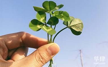 12388实名举报的后果