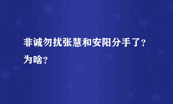 非诚勿扰张慧和安阳分手了？为啥？