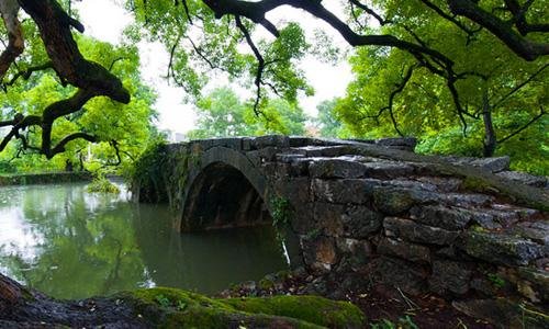 电影剑雨里面那句佛语怎么说的？就是我愿化身石桥的那个！要全的故事！