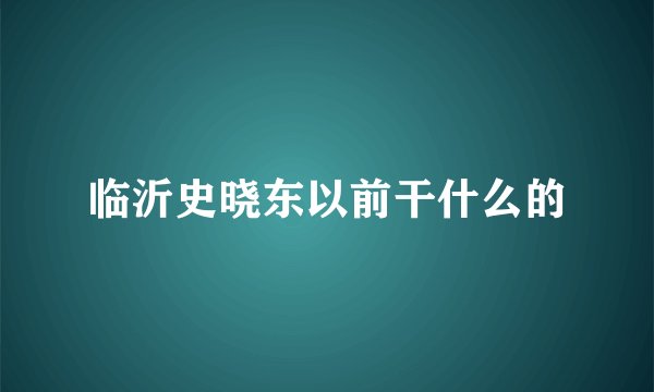 临沂史晓东以前干什么的
