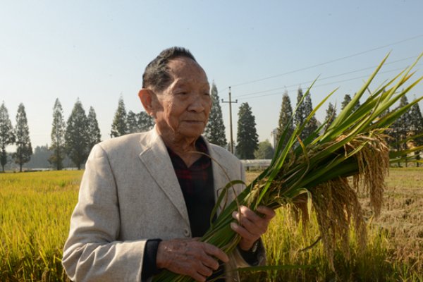 你还知道哪些默默无闻做出奉献的人吗？