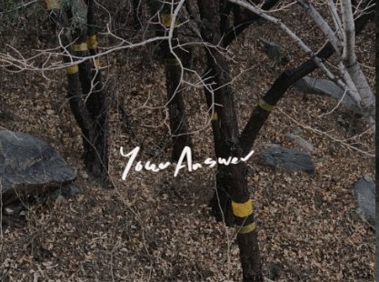 也许世界就这样,我还在路上是什么歌