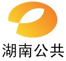 公共频道的概念分析