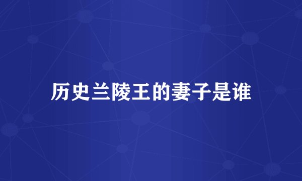 历史兰陵王的妻子是谁