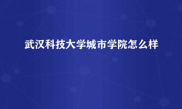 武汉科技大学城市学院怎么样
