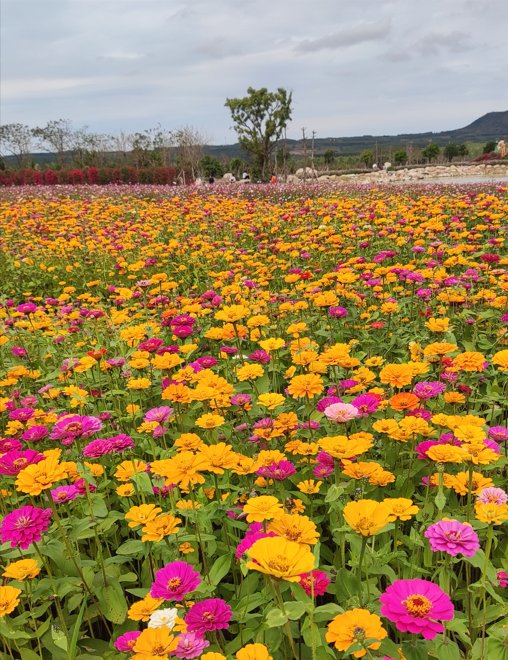 向往的生活6在昌江哪拍的？周边有哪些好玩的？