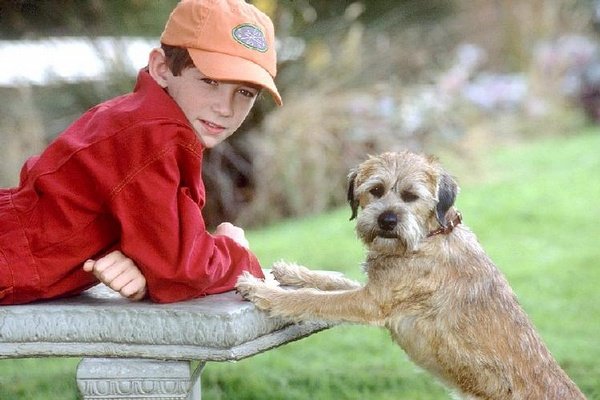 外星神犬的幕后