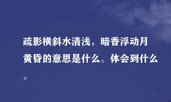 疏影横斜水清浅，暗香浮动月黄昏的意思是什么。体会到什么。
