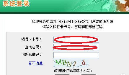查询农行卡余额的网址是什么？