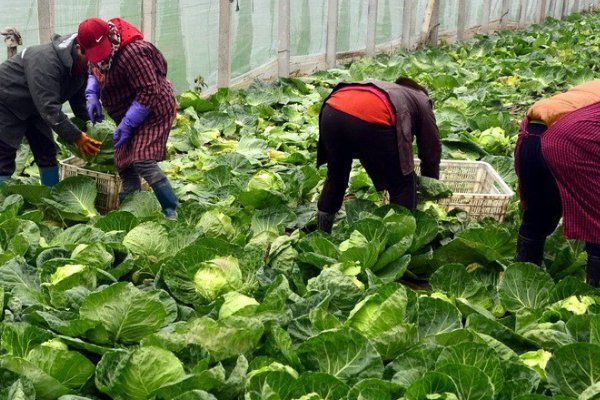 你还知道哪些农事活动