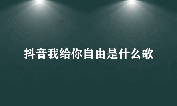 抖音我给你自由是什么歌