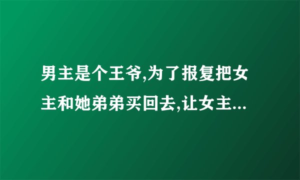 男主是个王爷,为了报复把女主和她弟弟买回去,让女主成了暖床丫鬟，书名叫什么？