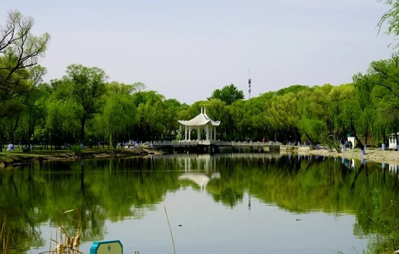 写春末夏初的优美句子