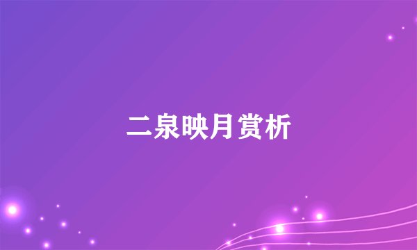 二泉映月赏析