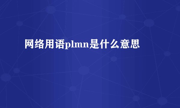 网络用语plmn是什么意思