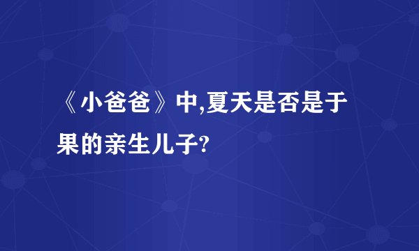 《小爸爸》中,夏天是否是于果的亲生儿子?