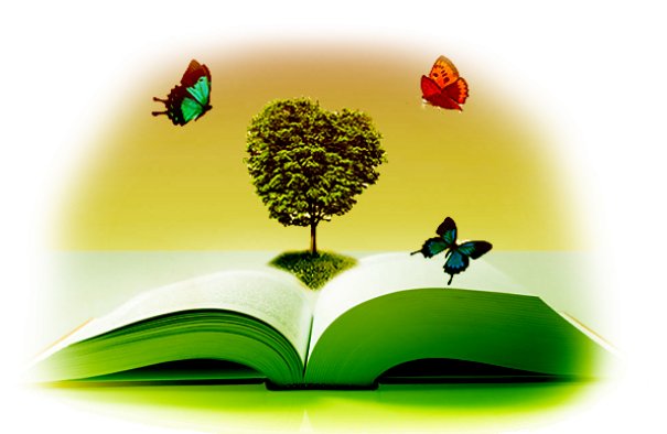 网购书籍哪家好?