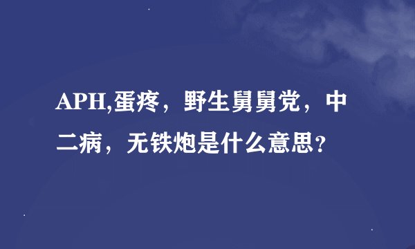 APH,蛋疼，野生舅舅党，中二病，无铁炮是什么意思？