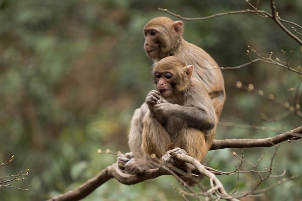 一身是胆什么生