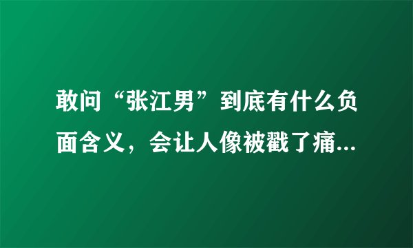 敢问“张江男”到底有什么负面含义，会让人像被戳了痛脚一样？