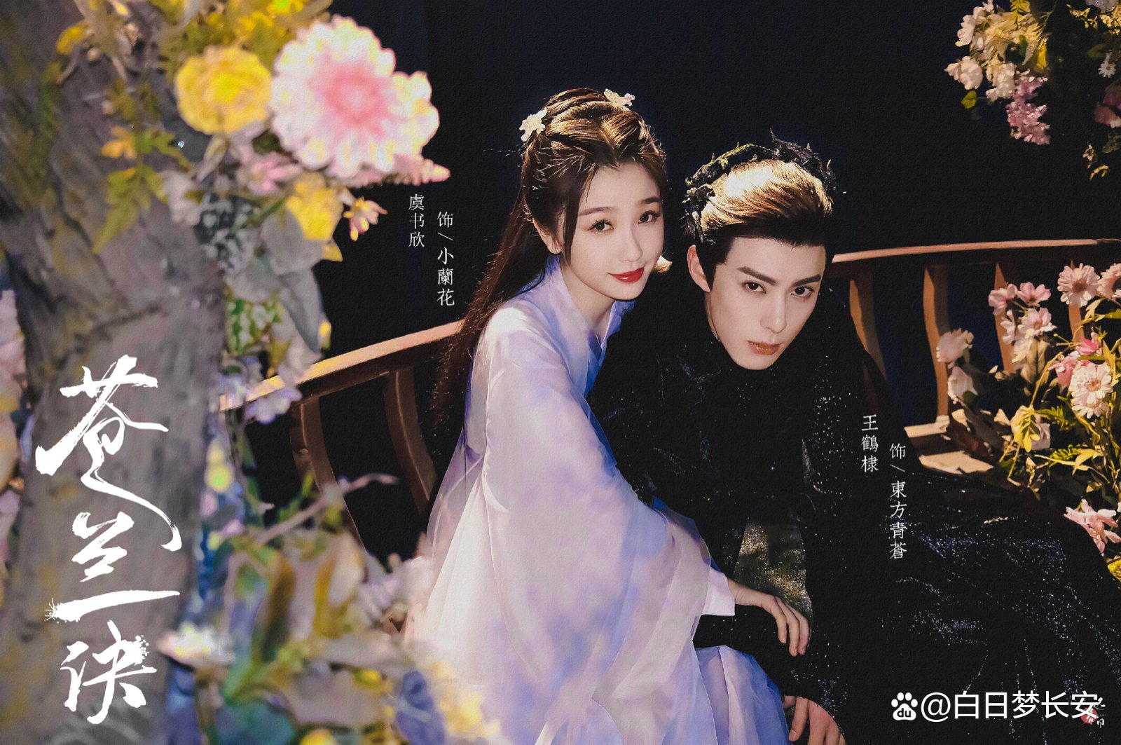 苍兰诀一共多少集什么时候更新