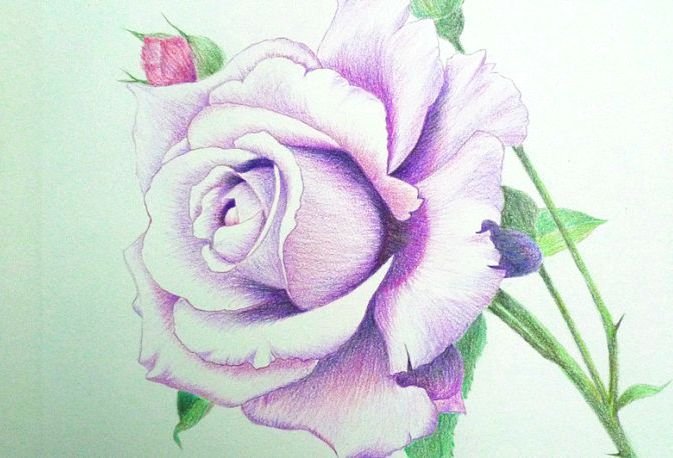 彩色铅笔画用什么纸