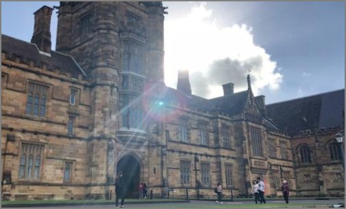 什么是象牙塔？