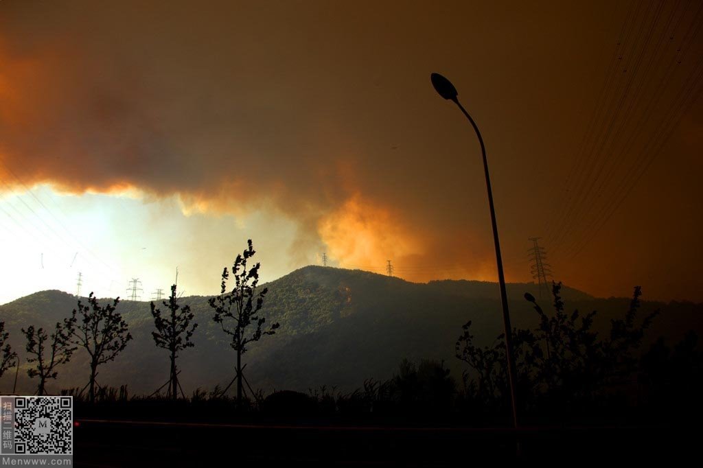 威海大火的简介